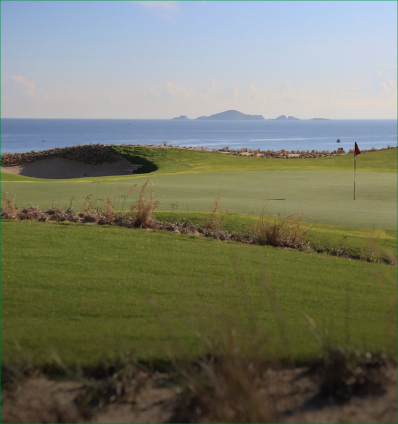The Links(18 hố)